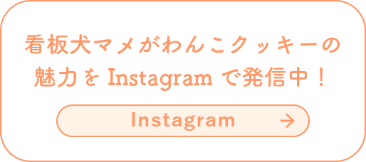 看板犬マメがわんこクッキーの魅力をInstagramで発信中！